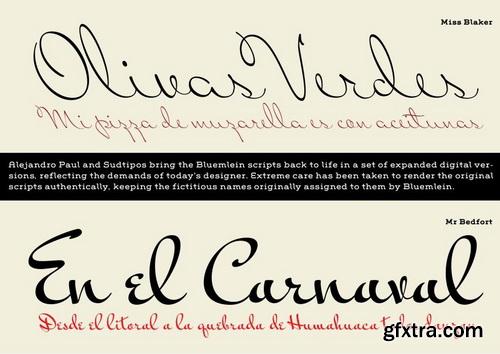 A Variety of Exclusive Fonts 32xTTFs