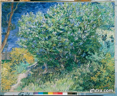Museum Hermitage - 100 Great Paintings ULTRAFINE & COLOR SCALAS!
