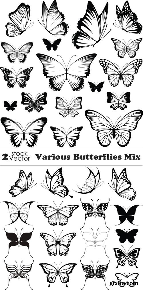 Vectors - Various Butterflies Mix