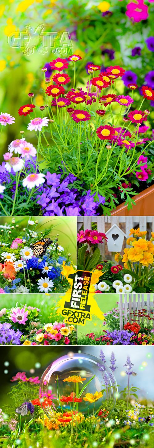 Stock Photo - Garden Flowers Cards