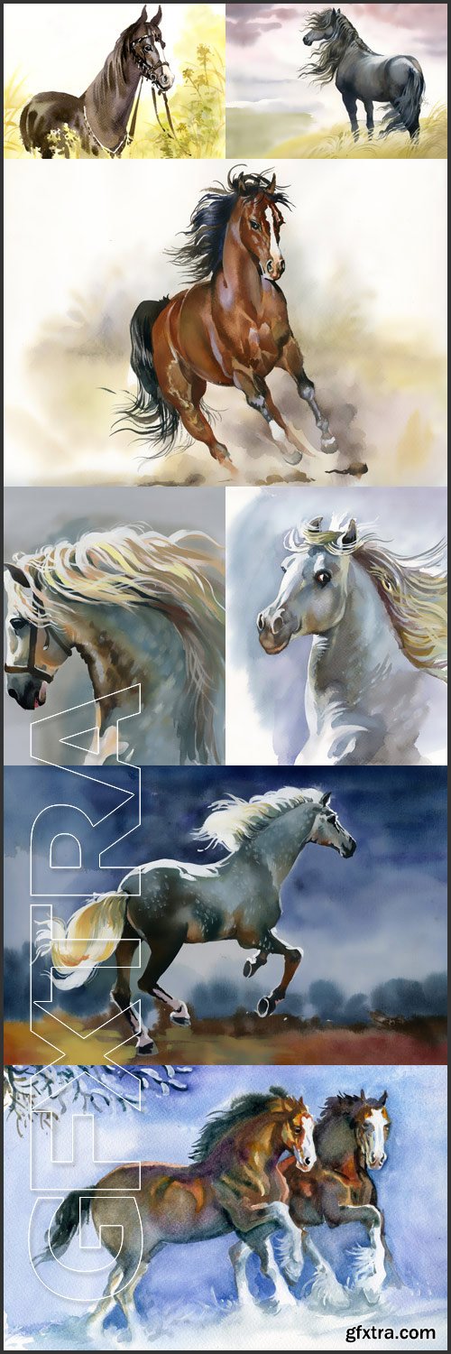 Running, White, Black horse, Horses running in winter, in the grass, in a field - Stock photo