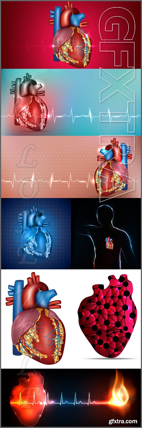 Cardiology background. Human heart anatomy, colorful design. Burning cardiogram - Vektor photo