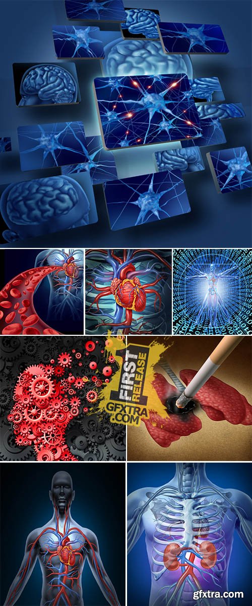 Stock Photo: Human anatomy, viruses and internal