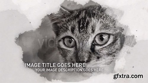 Videohive Ink Slides 4663733