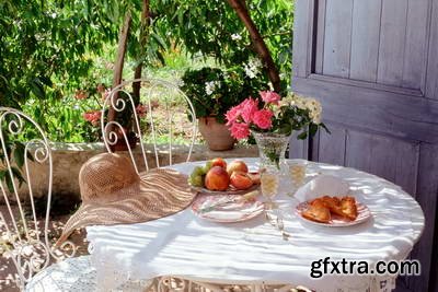 Image Source IS230 Joy of the Garden