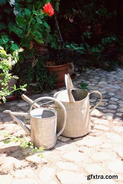 Image Source IS230 Joy of the Garden