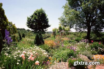 Image Source IS230 Joy of the Garden