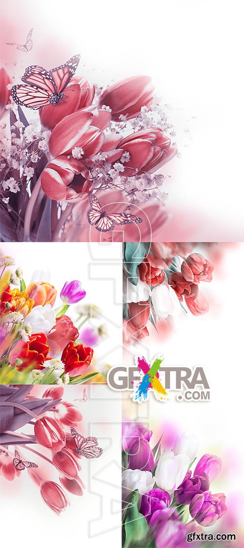 Stock photo - Tulips 16