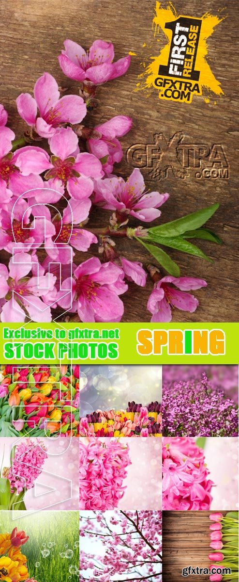 Shutterstock - Spring Flowers 25xJPG