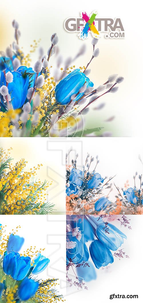 Stock photo - Spring flowers 32