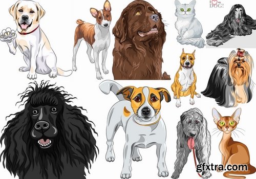 Pets collection #1 - 23 Eps