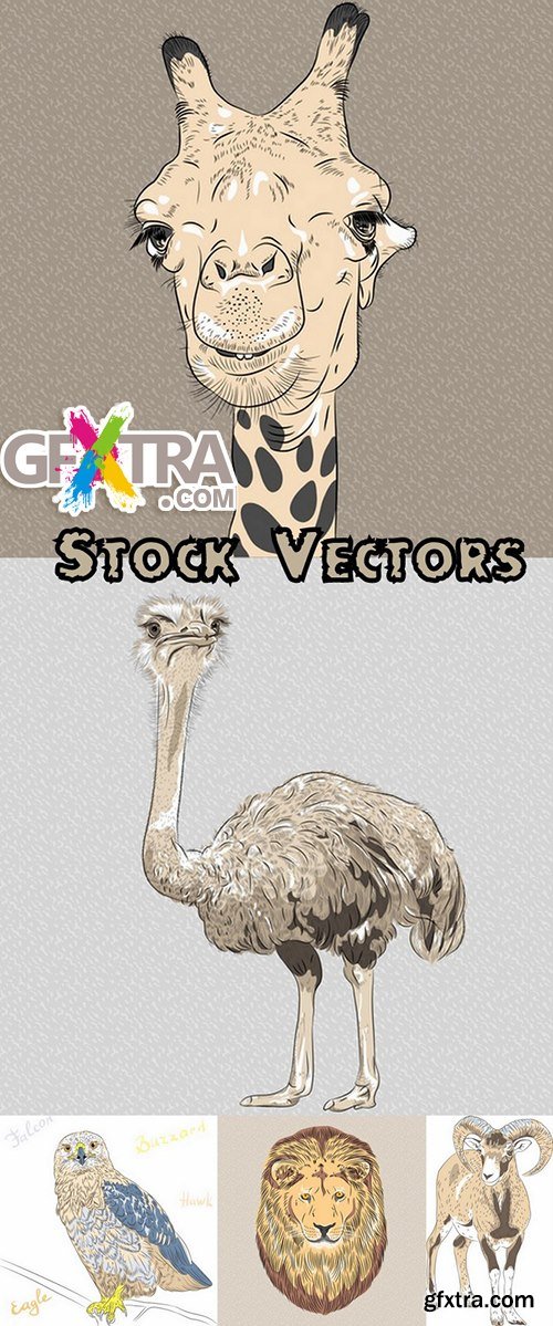 Animals collection #1 - 5 Eps