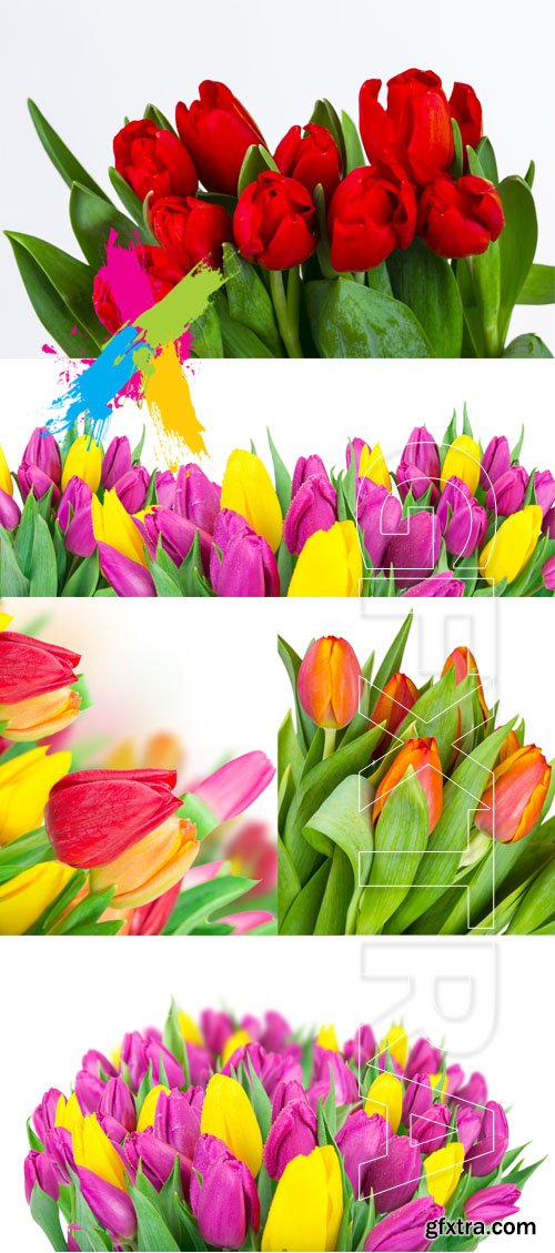 Beautiful bouquet of tulips