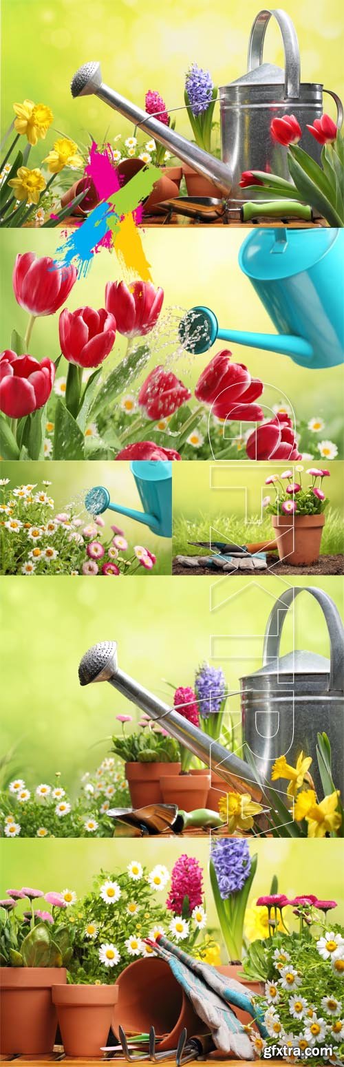 Spring garden
