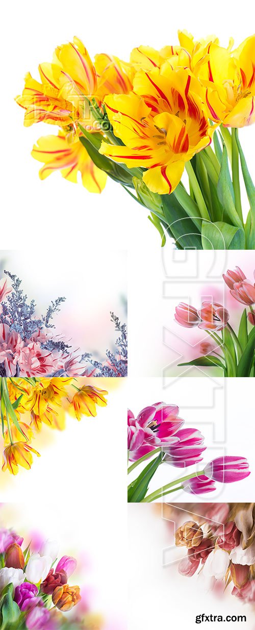 Spring tulip bouquet