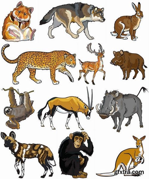 Wild animals collection - 25 Eps