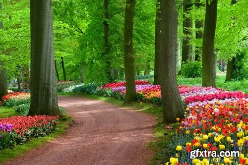 Garden landscapes - 25 HQ Jpg
