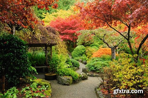Garden landscapes - 25 HQ Jpg