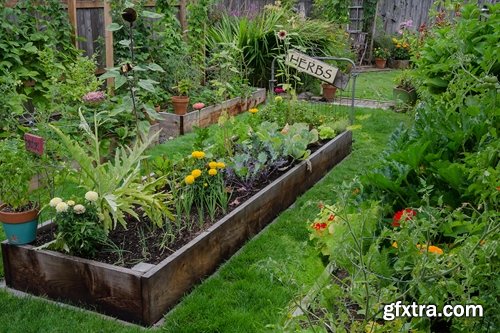 Garden landscapes - 25 HQ Jpg