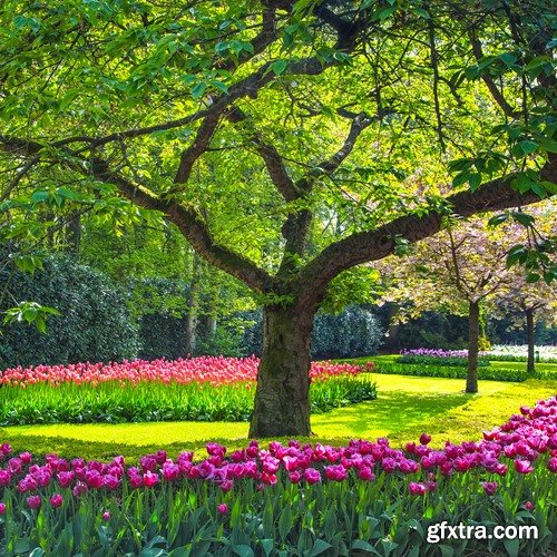 Garden landscapes - 25 HQ Jpg