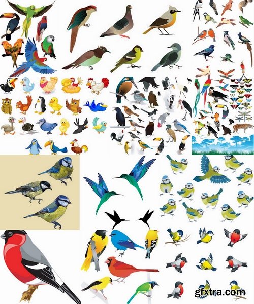 Collection of different birds -25 Eps