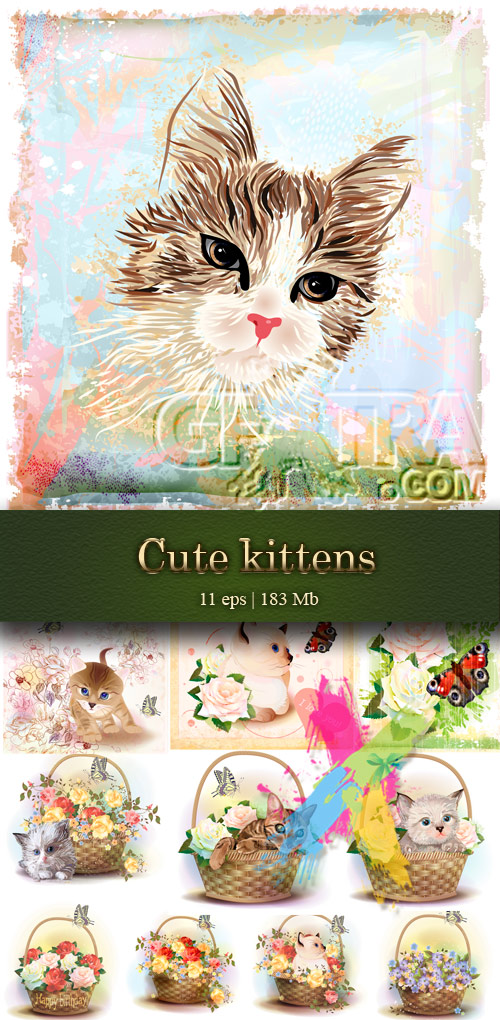 Cute kittens, flower baskets and butterflies