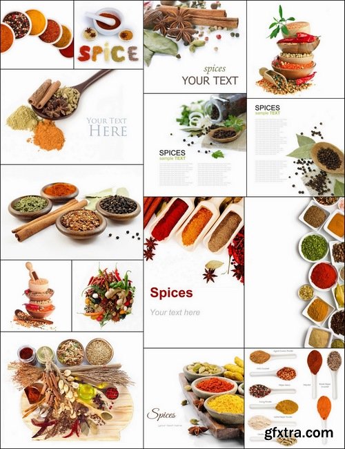 Different species isoled on white - 24 HQ Jpg