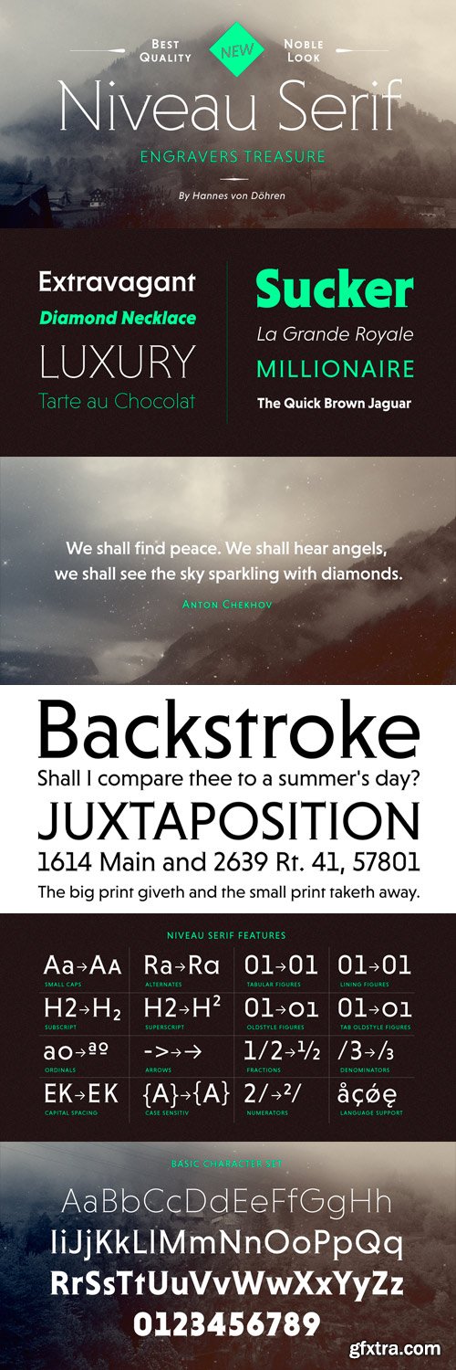 Niveau Serif Font Family - 18 Fonts for $249