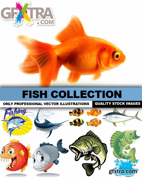 Fish Collection - 25 Vector