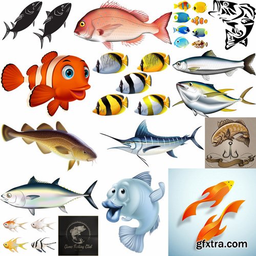 Fish Collection - 25 Vector