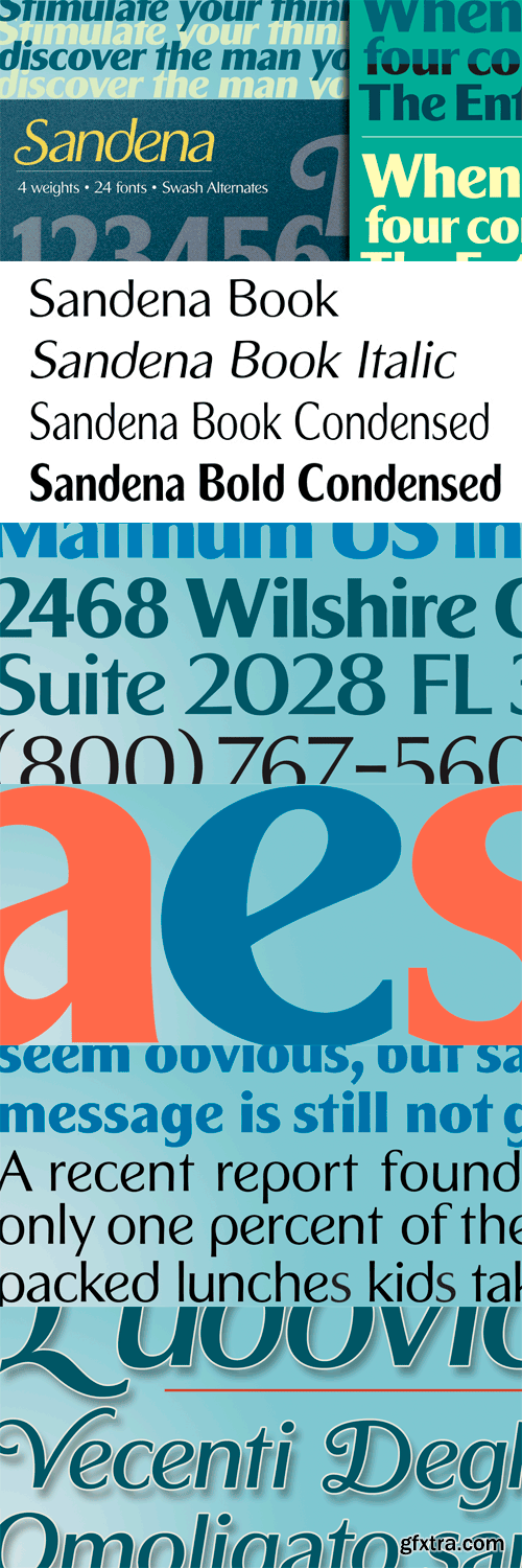 Sandena Font Family - 24 Fonts for $249