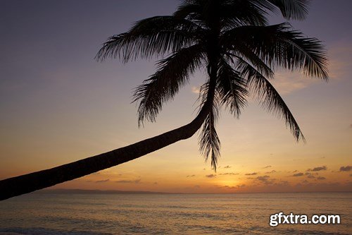 Paradise Vacation - 25 HQ JPEGs