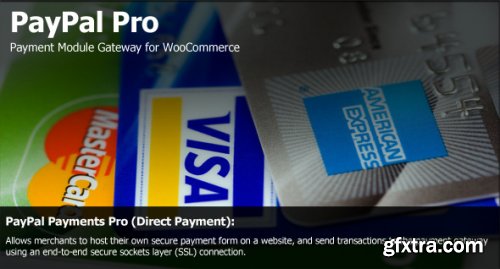 CodeCanyon - PayPal Pro Payment Module for WooCommerce v2.1.1