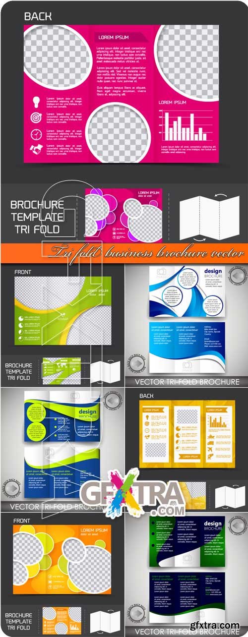 Tri fold business brochure vector