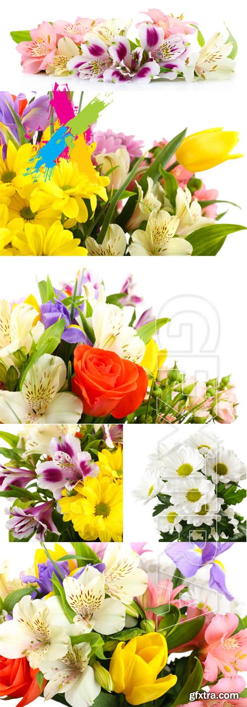 Beautiful flowers