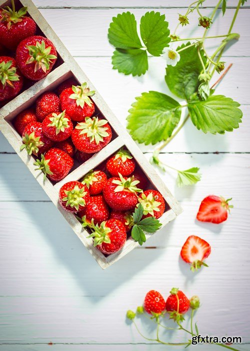 Healthy Food, 25xUHQ JPEG
