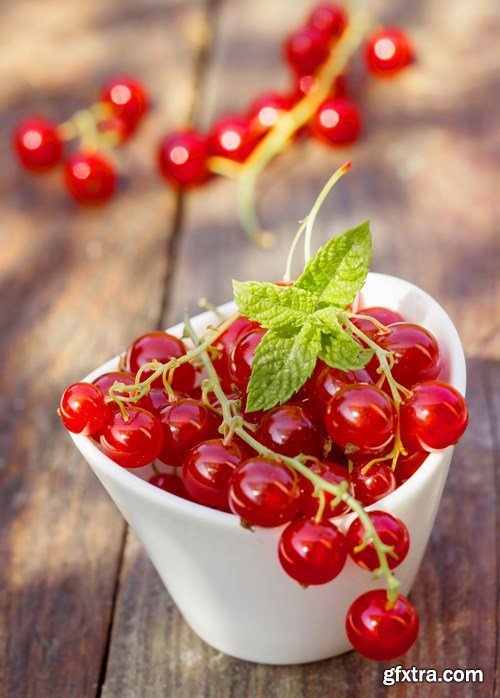 Healthy Food, 25xUHQ JPEG