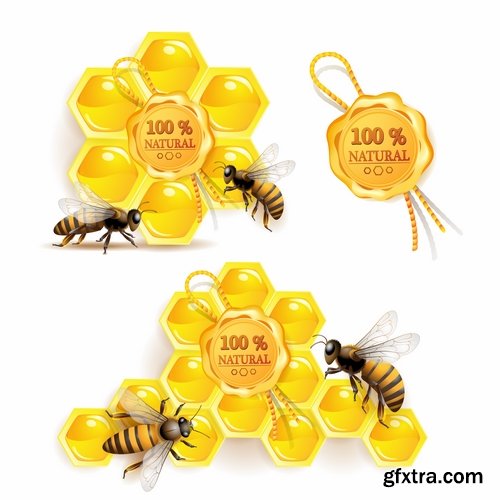 Honey bee and honeycomb in vector - 21 Eps - 17 Ai