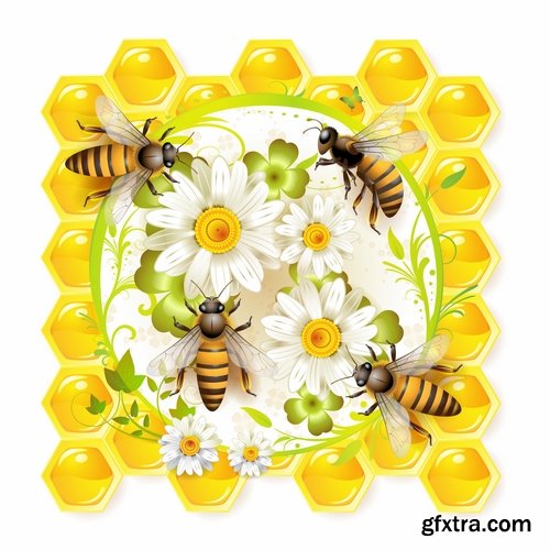 Honey bee and honeycomb in vector - 21 Eps - 17 Ai