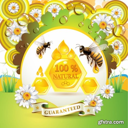Honey bee and honeycomb in vector - 21 Eps - 17 Ai