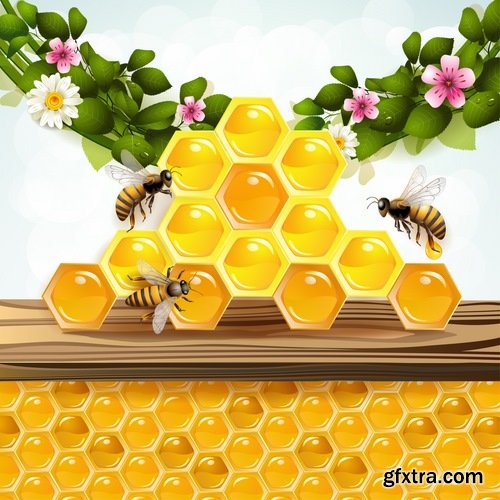 Honey bee and honeycomb in vector - 21 Eps - 17 Ai