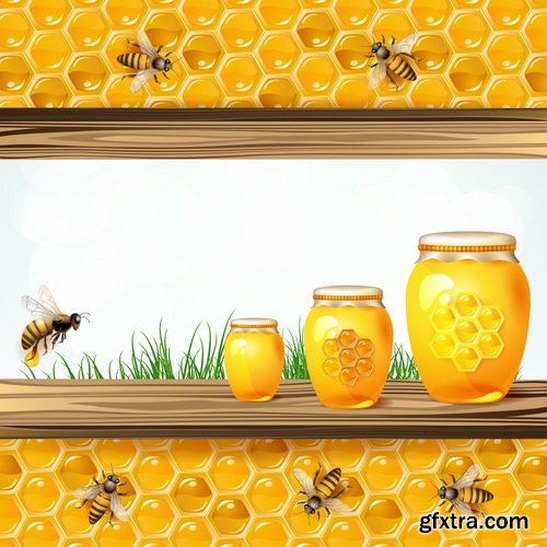 Honey bee and honeycomb in vector - 21 Eps - 17 Ai