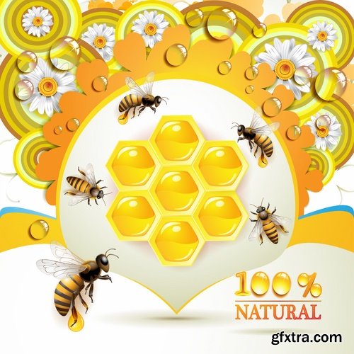 Honey bee and honeycomb in vector - 21 Eps - 17 Ai