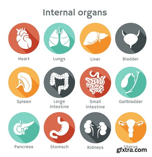 Amazing SS - Medical flat design, 25xEPS