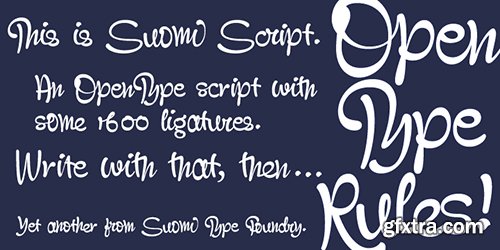 Suomi Script Font - 1 Font 80$