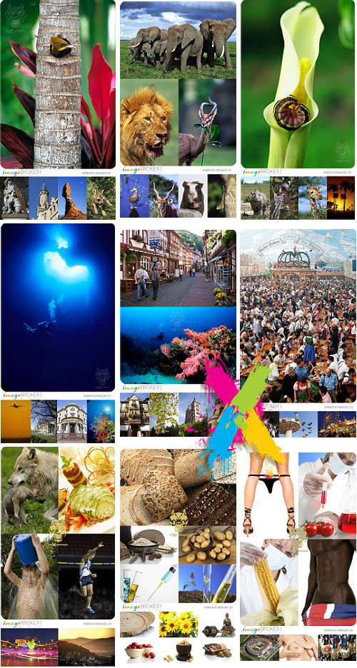 Image Broker - 100 CDs, 10.000 Images!