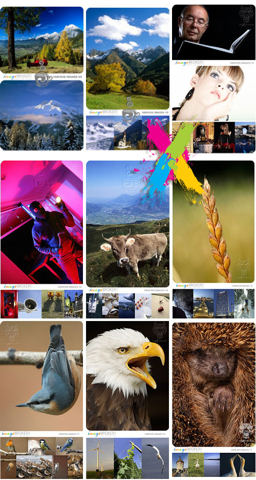 Image Broker - 100 CDs, 10.000 Images!
