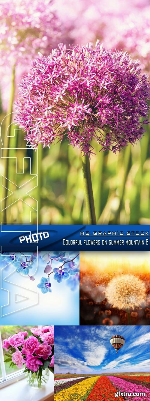 Stock Photo - Colorful flowers on summer mountain 8