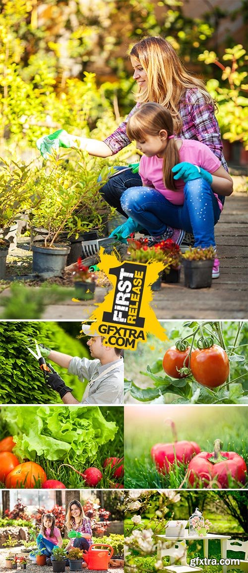 Stock Photo: In the Garden
