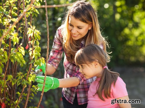 Stock Photo: In the Garden
